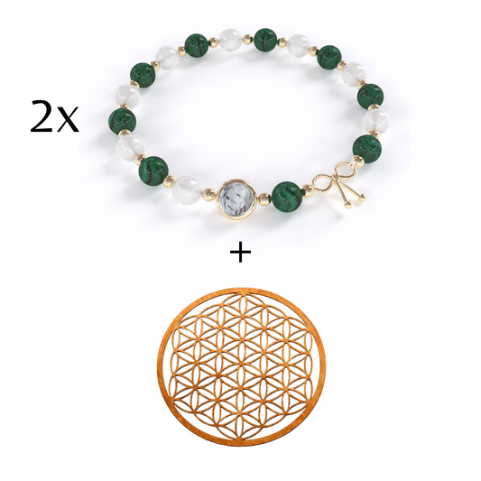 Pack Anti-Douleurs + Plaque de rechargement